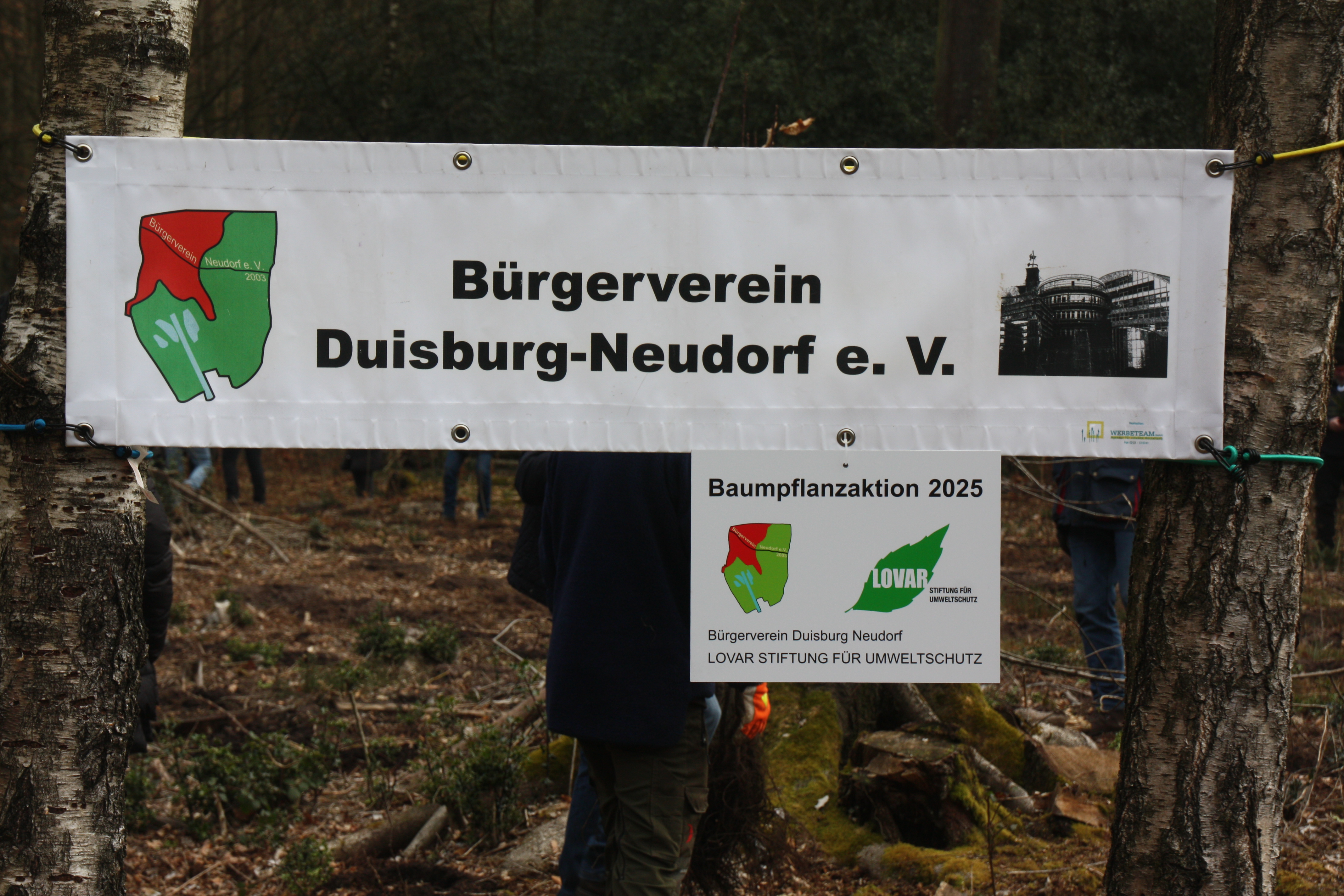 Baumpflanzaktion 2025